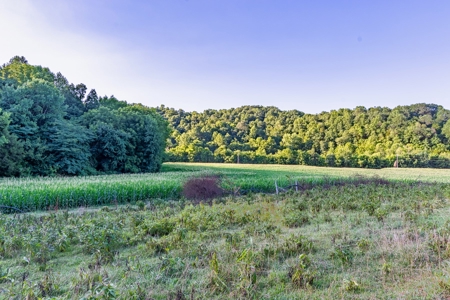 Accepted Offer in Southern Kentucky - image 35