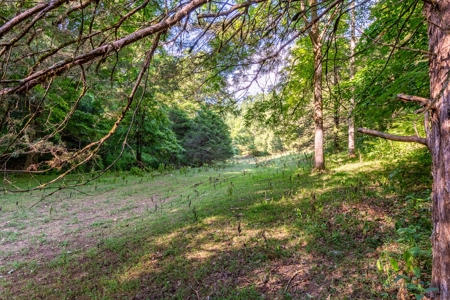 Accepted Offer in Southern Kentucky - image 42