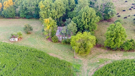 Accepted Offer in Southern Kentucky - image 1