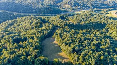 Accepted Offer in Southern Kentucky - image 11