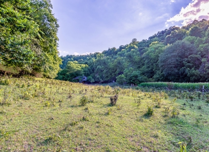 Accepted Offer in Southern Kentucky - image 36