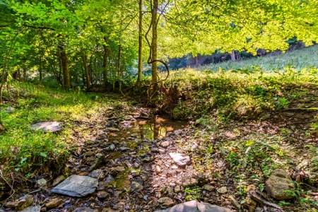 Accepted Offer in Southern Kentucky - image 50