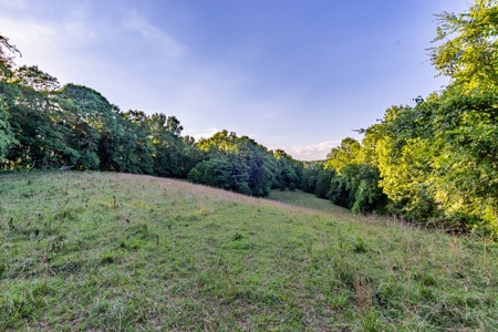 Accepted Offer in Southern Kentucky - image 48