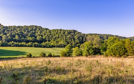 Accepted Offer in Southern Kentucky - image 32