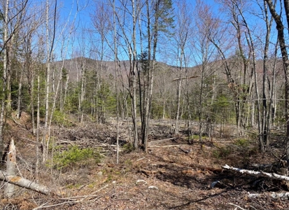 14± acres of recreational land for sale - image 3