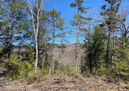 14± acres of recreational land for sale - image 1
