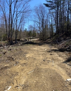 14± acres of recreational land for sale - image 2