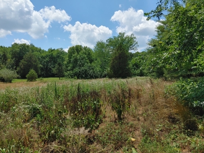 For Sale:  5 Acres with older manufactured home. - image 16
