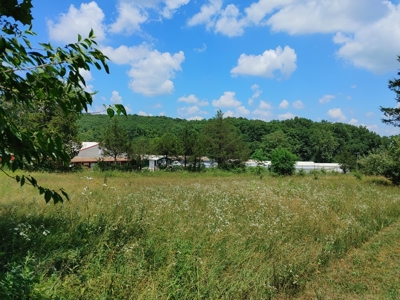 For Sale:  5 Acres with older manufactured home. - image 21