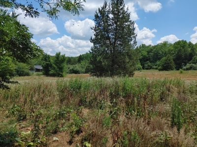 For Sale:  5 Acres with older manufactured home. - image 14