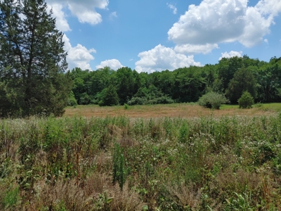 For Sale:  5 Acres with older manufactured home. - image 15