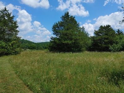 For Sale:  5 Acres with older manufactured home. - image 2