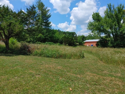 For Sale:  5 Acres with older manufactured home. - image 20