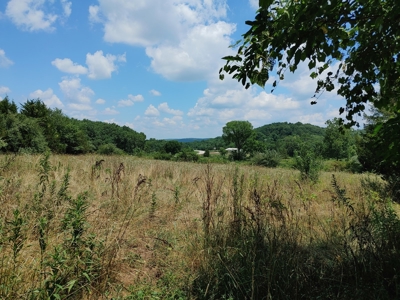 For Sale:  5 Acres with older manufactured home. - image 17