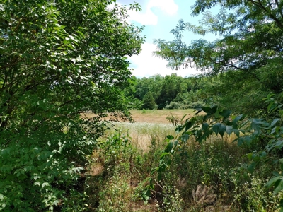 For Sale:  5 Acres with older manufactured home. - image 7