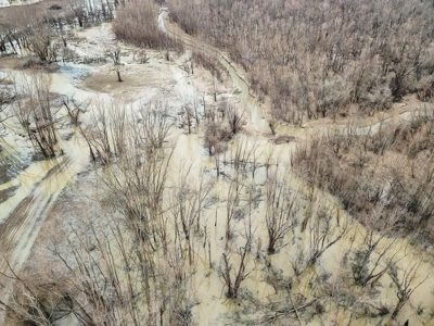 Hunting Shares and Camp for Sale in Jefferson County, MS - image 2