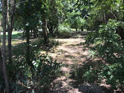 Online Only Real  Estate Auction, 7011 S Volutsia,Wichita,Ks - image 11