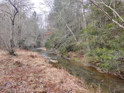 Farm for Sale in Willis VA - image 22