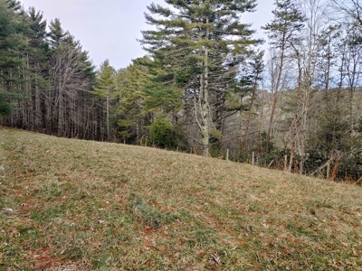 Farm for Sale in Willis VA - image 35