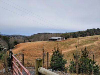 Farm for Sale in Willis VA - image 33