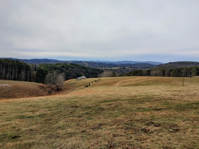 Farm for Sale in Willis VA - image 31