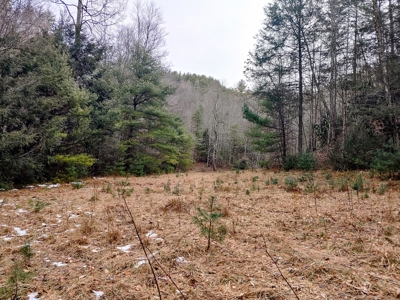 Farm for Sale in Willis VA - image 25