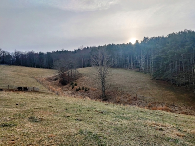 Farm for Sale in Willis VA - image 6