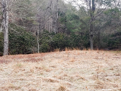 Farm for Sale in Willis VA - image 19