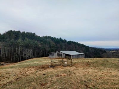 Farm for Sale in Willis VA - image 10