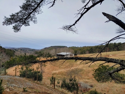 Farm for Sale in Willis VA - image 32