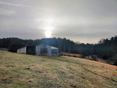 Farm for Sale in Willis VA - image 13