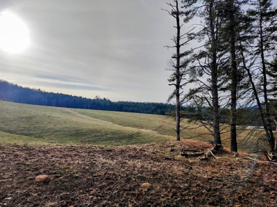 Farm for Sale in Willis VA - image 30