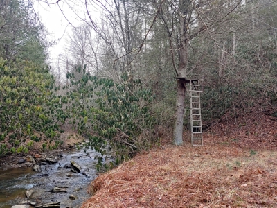 Farm for Sale in Willis VA - image 18