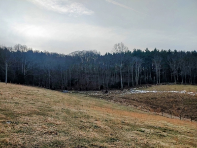 Farm for Sale in Willis VA - image 2