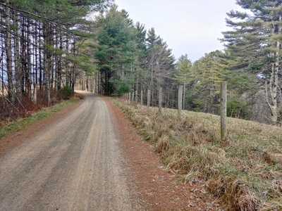 Farm for Sale in Willis VA - image 34