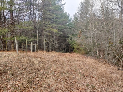 Farm for Sale in Willis VA - image 15