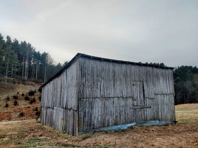 Farm for Sale in Willis VA - image 9