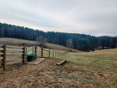 Farm for Sale in Willis VA - image 5