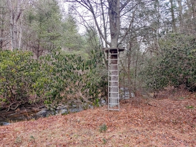 Farm for Sale in Willis VA - image 23