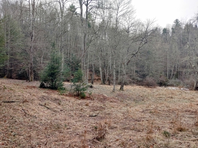 Farm for Sale in Willis VA - image 24