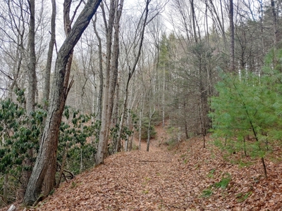 Farm for Sale in Willis VA - image 27