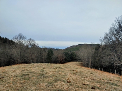 Farm for Sale in Willis VA - image 14