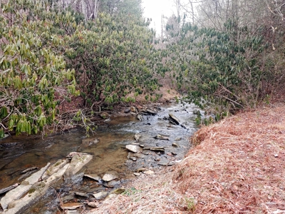Farm for Sale in Willis VA - image 21
