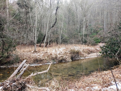 Farm for Sale in Willis VA - image 26