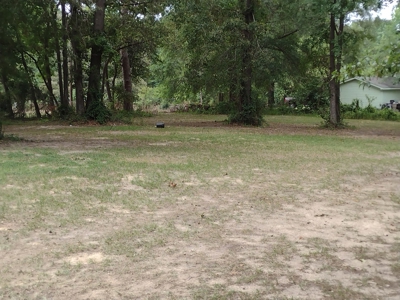 Business Opportunity in Carthage TX - image 6