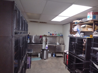 Business Opportunity in Carthage TX - image 9