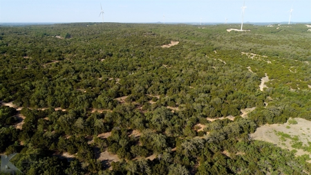 497 Acres of Pristine Hunting Land in Central Texas - image 6