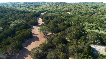 497 Acres of Pristine Hunting Land in Central Texas - image 12