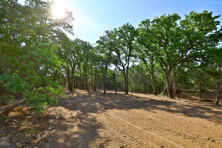 497 Acres of Pristine Hunting Land in Central Texas - image 32