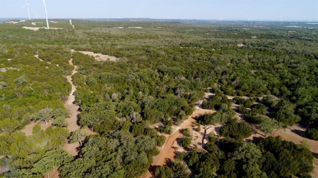 497 Acres of Pristine Hunting Land in Central Texas - image 5